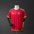 Camiseta Retro Gales Local 15/16 - frente