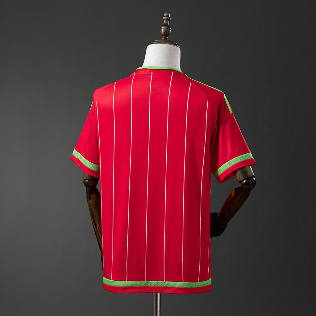 Camiseta Retro Gales Local 15/16 - espalda