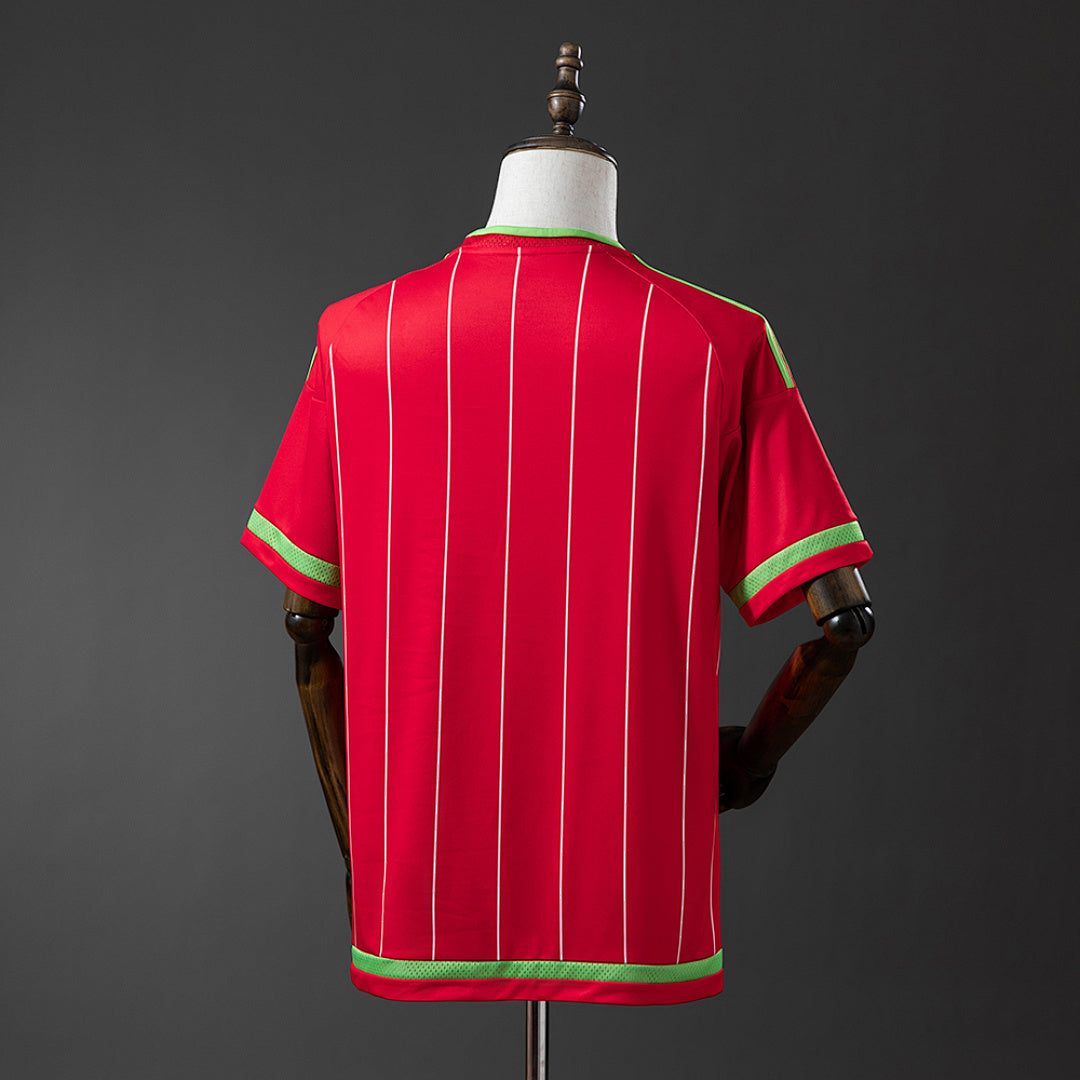 Camiseta Retro Gales Local 15/16 - espalda