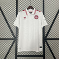 Camiseta Dinamarca Visita 2024 - frente