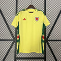 Camiseta Gales Visita 2024 - frente