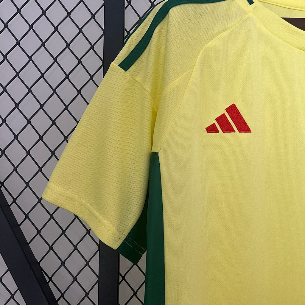 Camiseta Gales Visita 2024 - espalda
