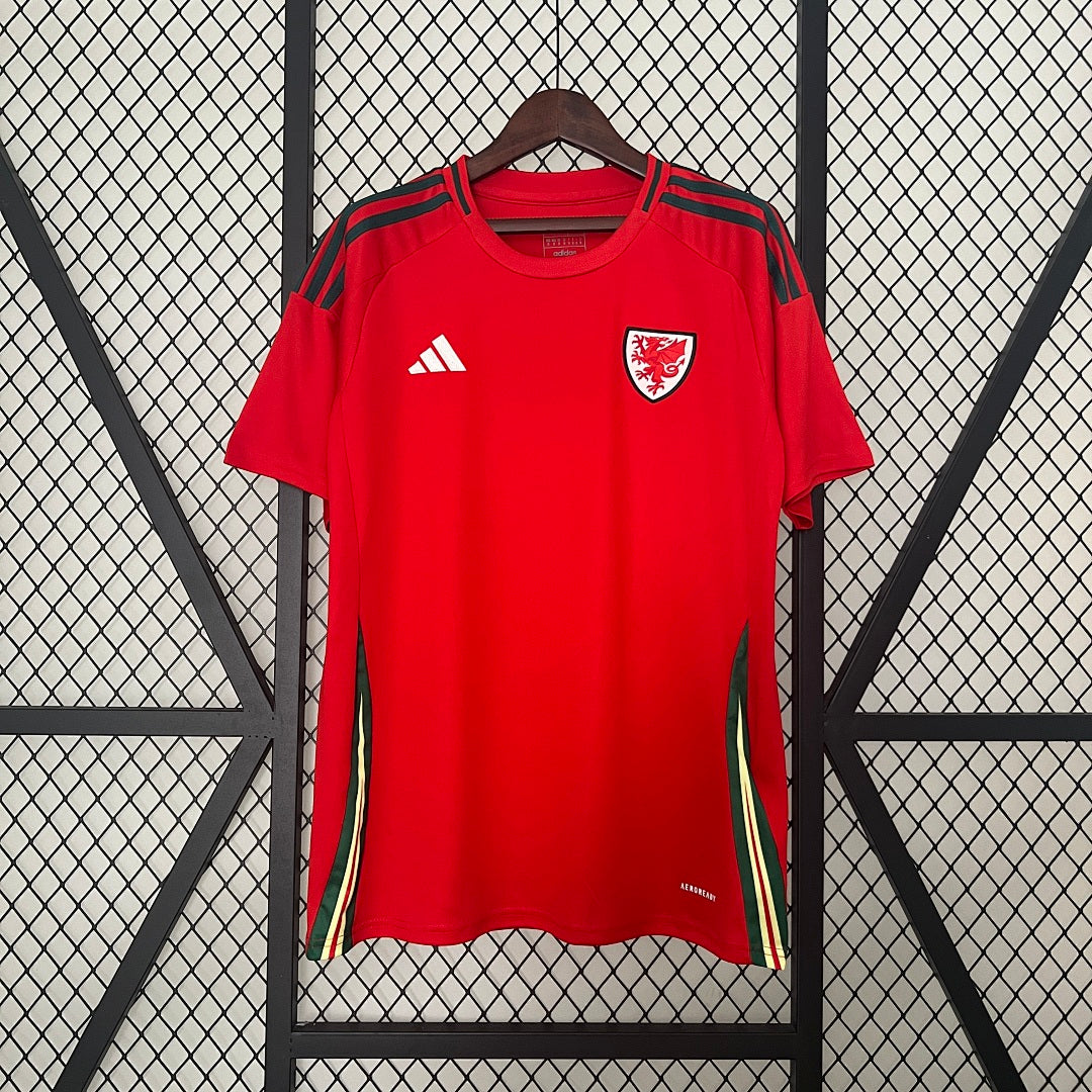 Camiseta Gales Local 2024 - frente