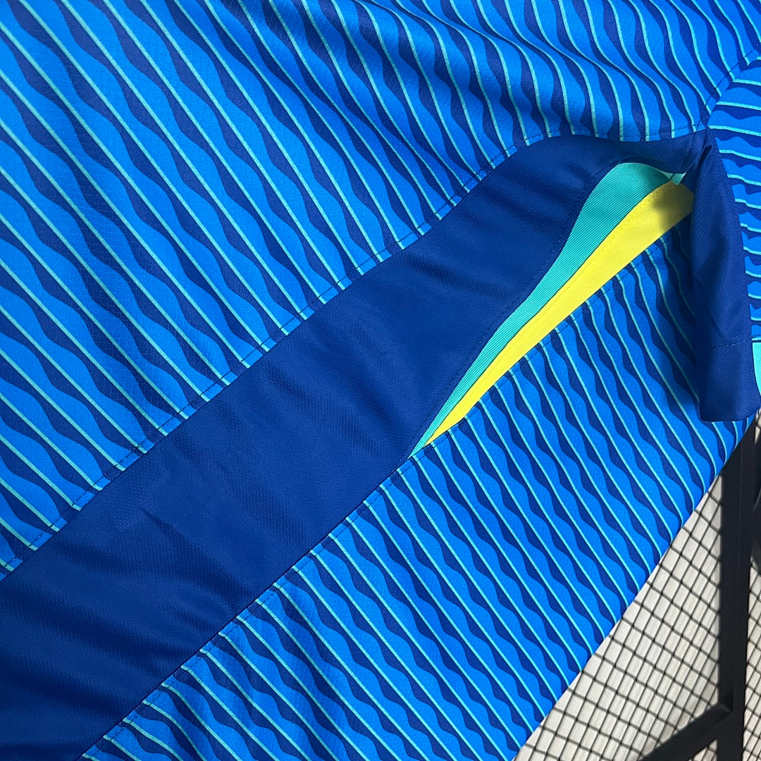 Camiseta Brasil Visita 2024 - espalda