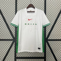 Camiseta Nigeria Local Gris Claro y Verde Oscuro 2024 - frente