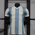 Camiseta Argentina Gris Claro y Gris Edición Especial 2024 Versión Jugador - frente