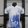 Camiseta Japón Gris Claro y Gris Edición Especial 2024 Versión Jugador - frente