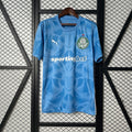 Camiseta Palmeiras Portero Celeste y Azul 2025/26 - frente
