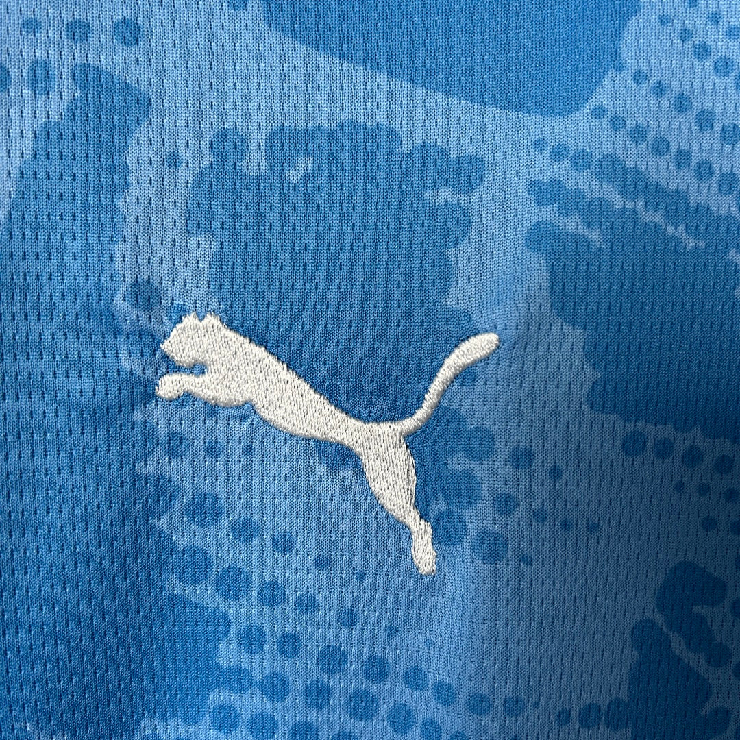 Camiseta Palmeiras Portero Celeste y Azul 2025/26 - espalda
