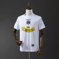 Camiseta Retro Colo Colo Local Gris y Celeste 2004 - frente
