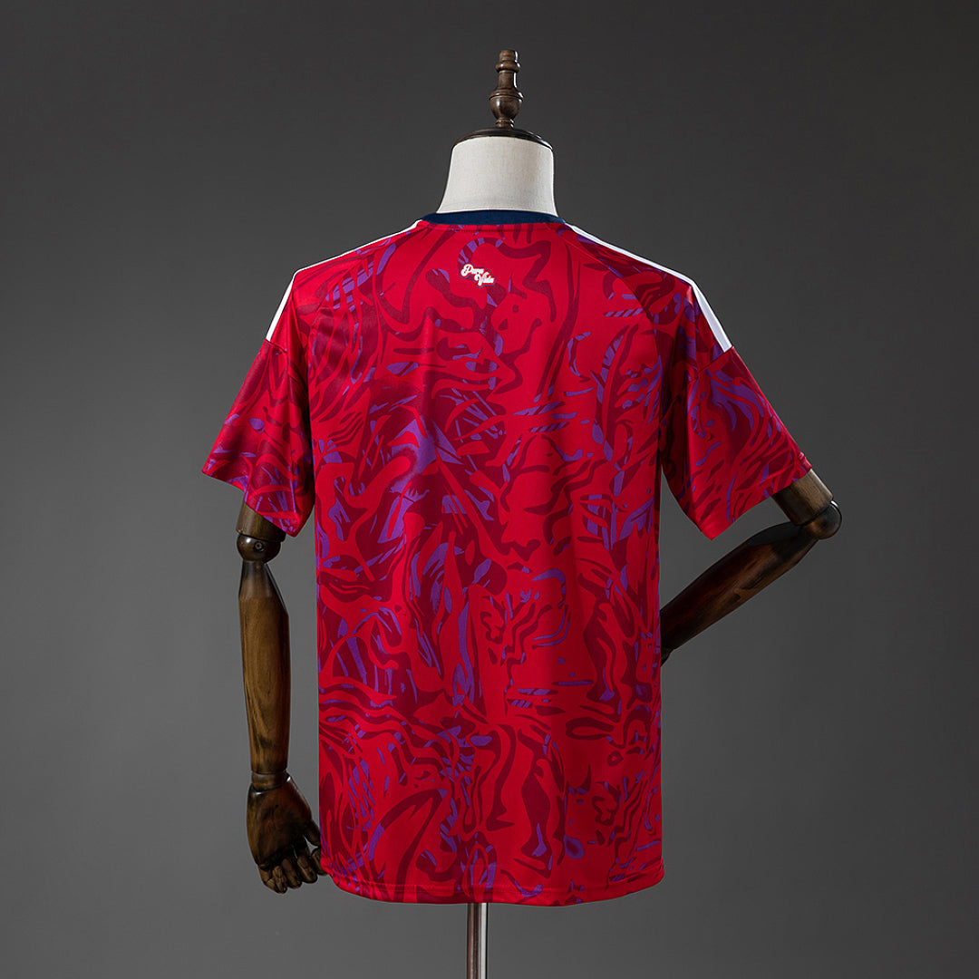 Camiseta Costa Rica Local 2026 - espalda