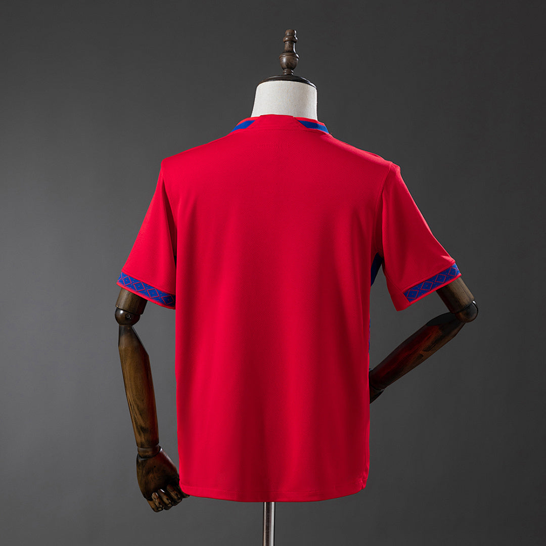 Camiseta Noruega Local Roja y Burdeos 2026 - espalda