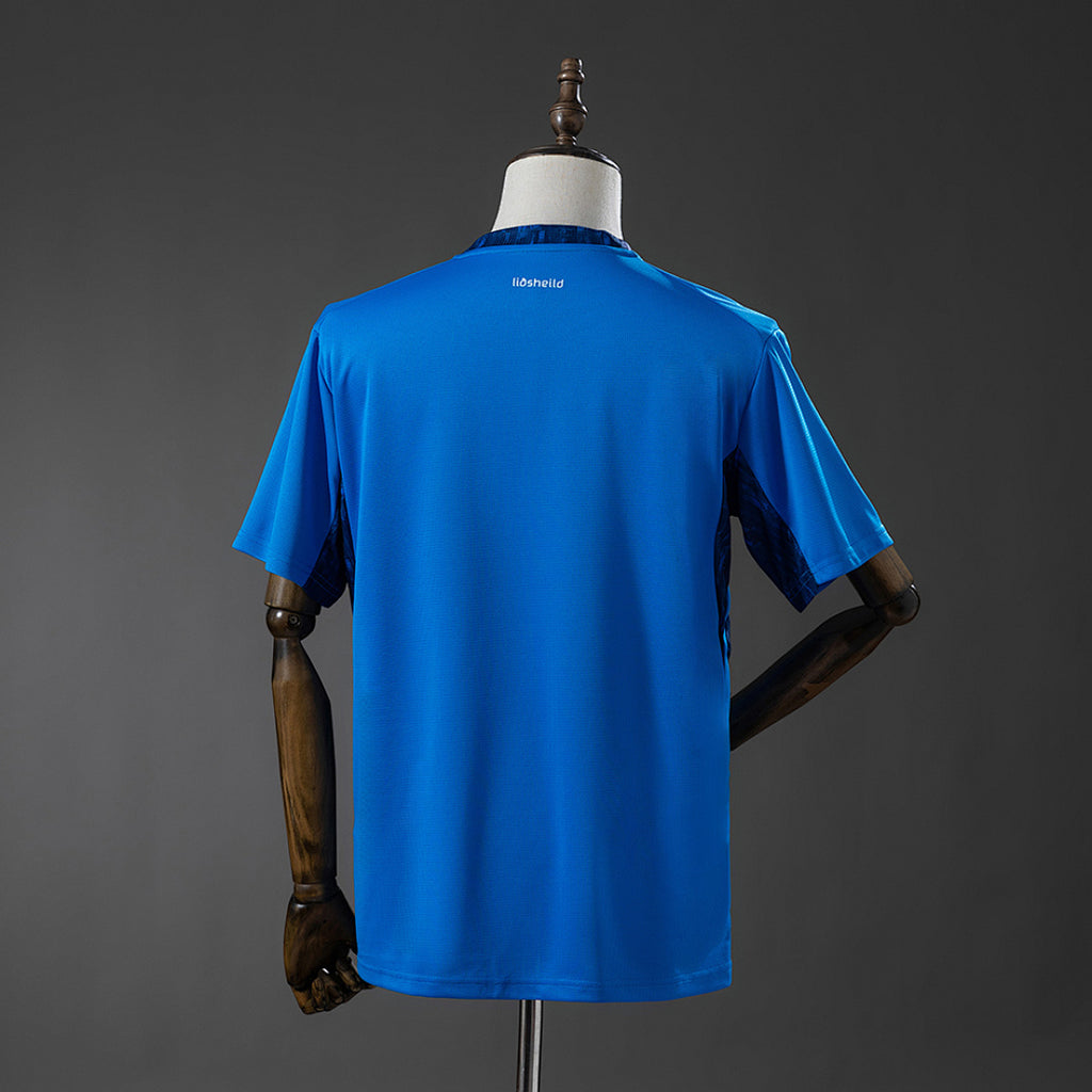 Camiseta Islandia Local 2026 - espalda