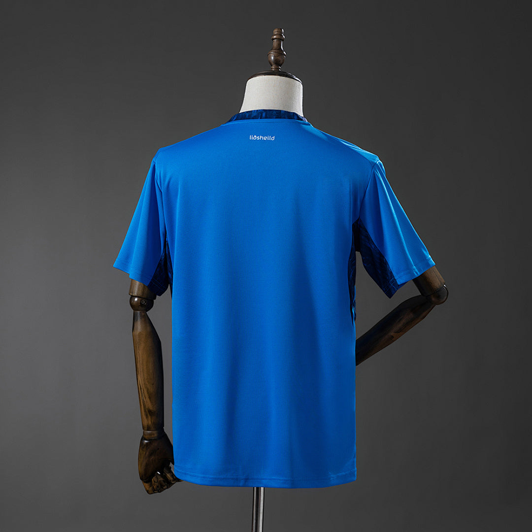 Camiseta Islandia Local 2026 - espalda