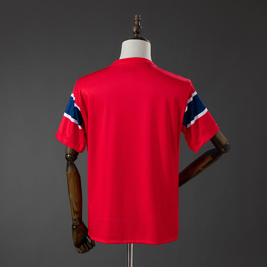 Camiseta Noruega Local Burdeos y Gris 2026 - espalda