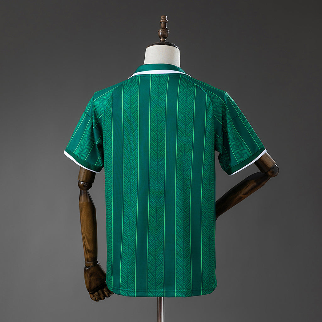 Camiseta Sudáfrica Visita 2026 - espalda