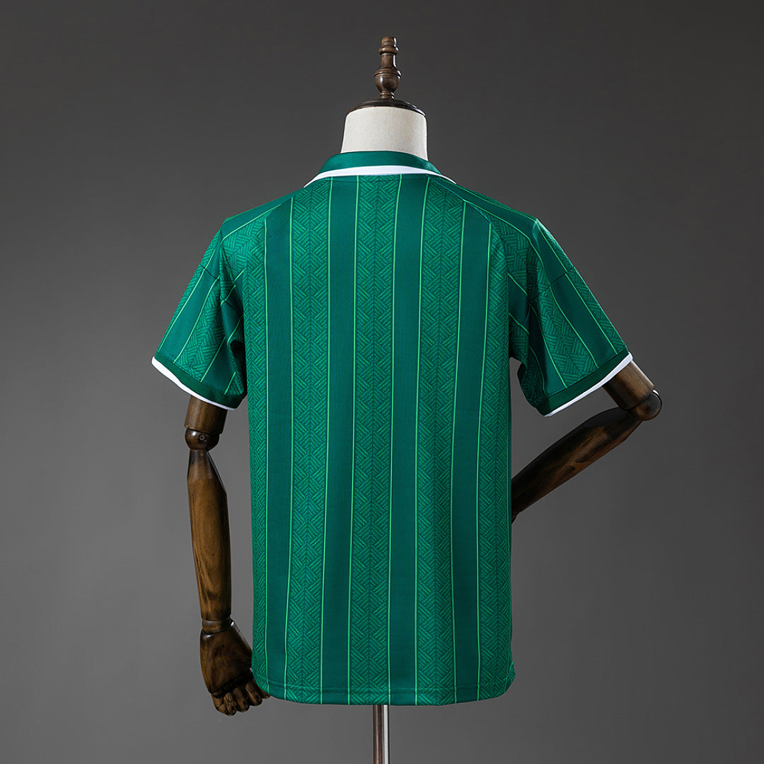 Camiseta Sudáfrica Visita 2026 - espalda
