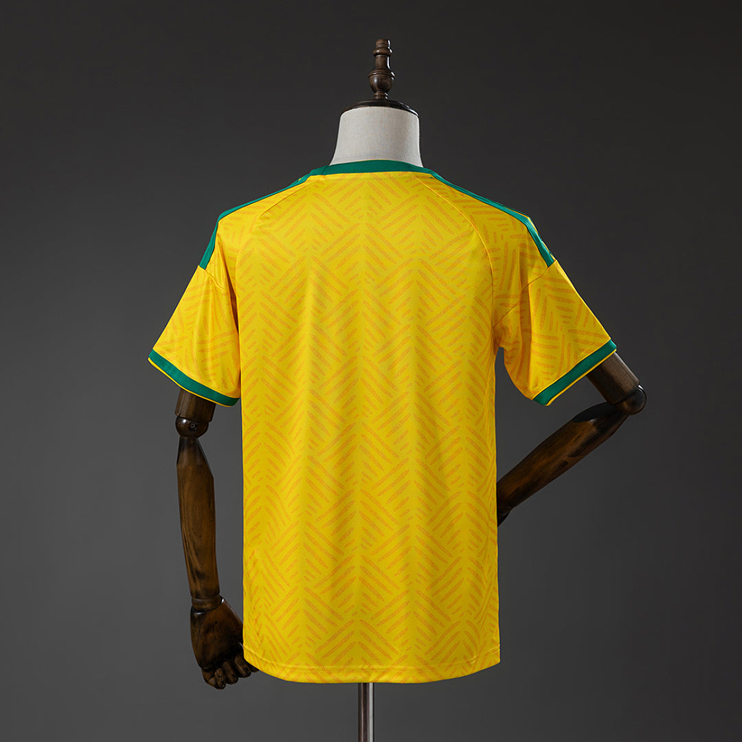Camiseta Sudáfrica Local 2026 - espalda