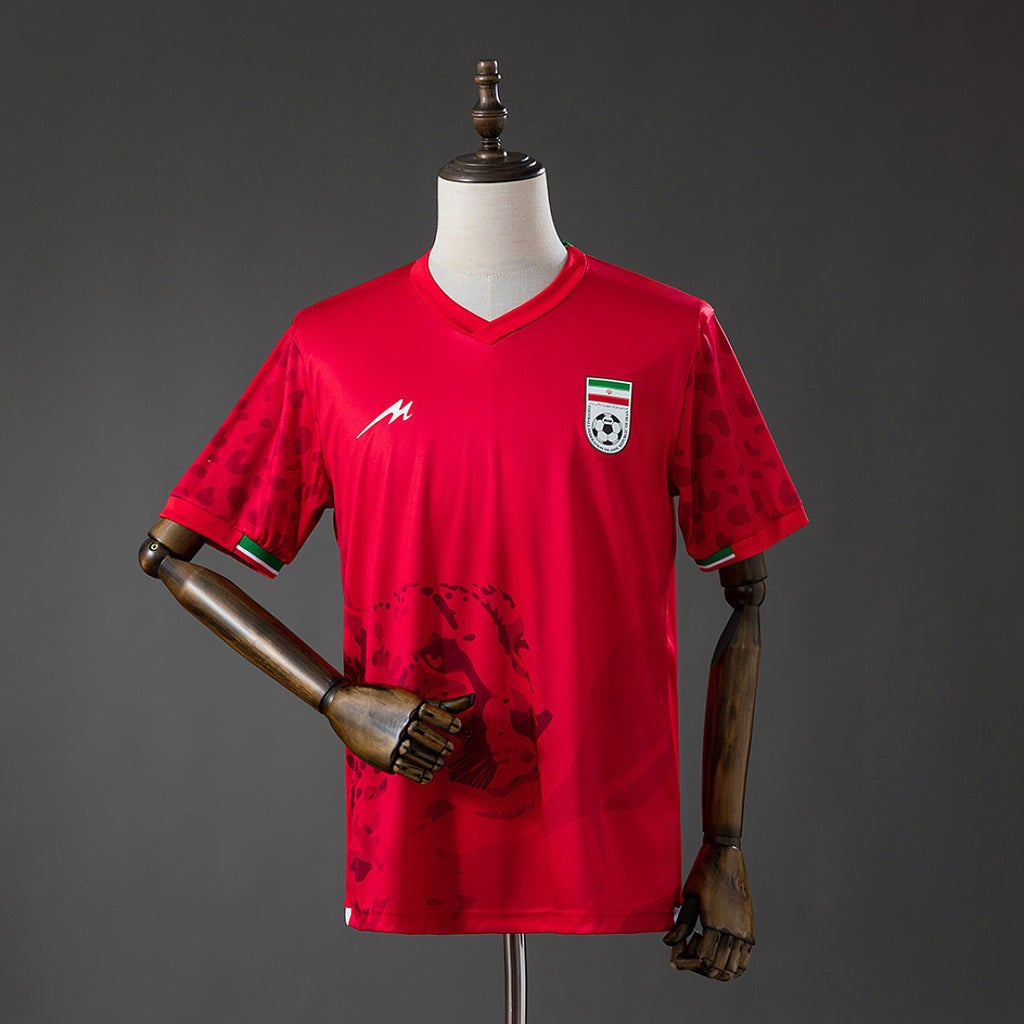 Camiseta Irán Visita Burdeos y Gris 2026 - frente