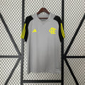 Camiseta de Entrenamiento Flamengo Gris 2024/25 - frente