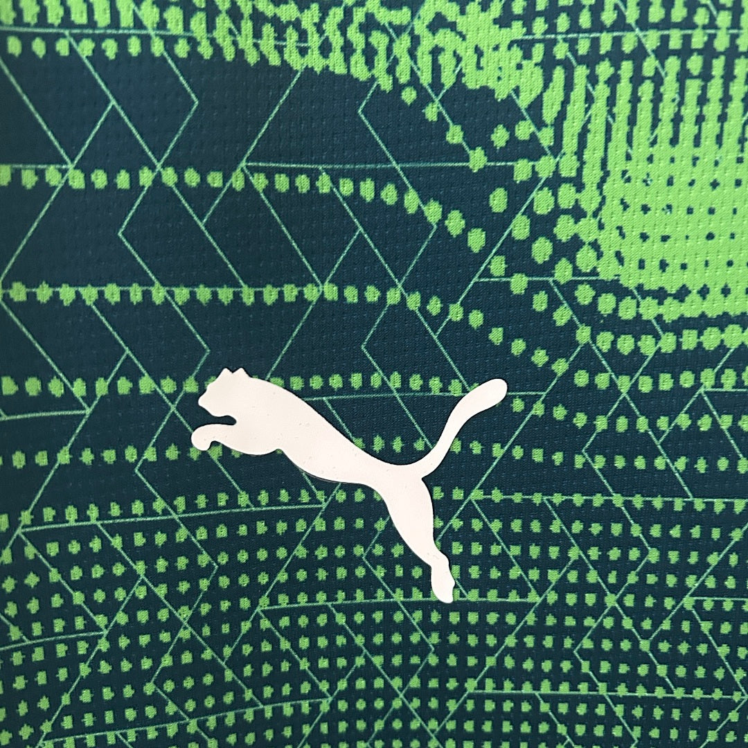 Camiseta de Entrenamiento Portugal Verde Oscuro y Gris 2025 - espalda